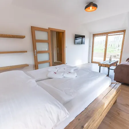 Apartment Ve Vinici *