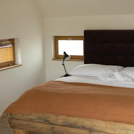 Ve Vinici Apartment *