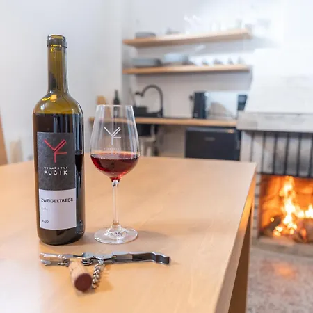 Apartamento Ve Vinici *